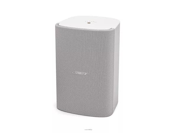 BOSE FreeSpace FS4SE Para - 2