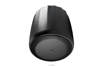 JBL Control 60PS/T  Wiszący subwoofer z wbudowaną zwrotnicą