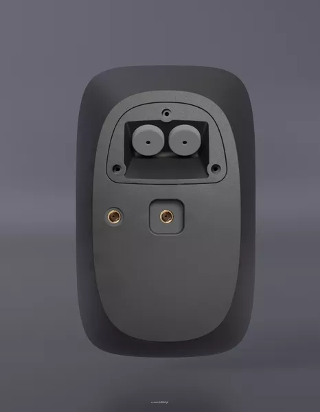 FONESTAR SONORA-6TB/6T-BK – głośnik instalacyjny 100 V / 8 Ω, 60 W RMS, IP66 - 2