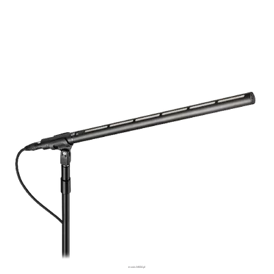 Audio-technica BP28L - Mikrofon liniowo-grandientowy, 567.9 mm