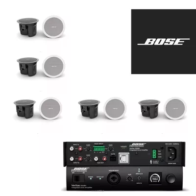Bose Business 10 – Veritas 1100BH + 10 × FreeSpace FS2C – kompletny zestaw nagłośnienia 100 V do gabinetów, butików, salonów usługowych, kawiarni i biur