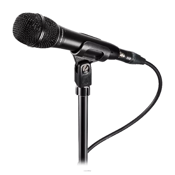Audio-technical ATS99 - Hypercardioid Dynamic Microphone - 2