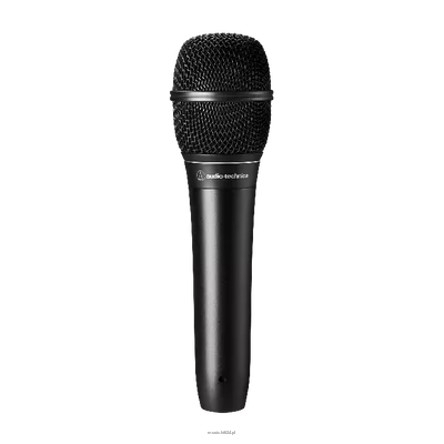 Audio-technical ATS99 - Hypercardioid Dynamic Microphone