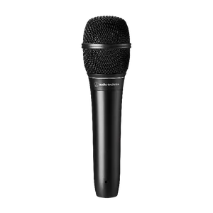 Audio-technical ATS99 - Hypercardioid Dynamic Microphone