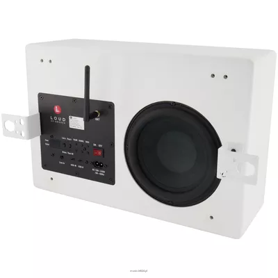 LOUD OF SWEDEN Subwoofer TW1  bezprzewodowy subwoofer z wbudowanym wzmacniaczem i odbiornikiem bezprzewodowym