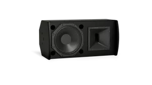 BOSE ArenaMatch AMU108-120