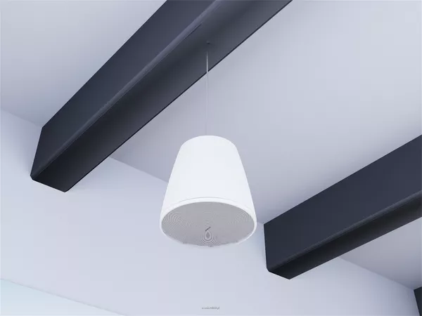 Bose DesignMax DM10P-SUB Loudspeaker - 5